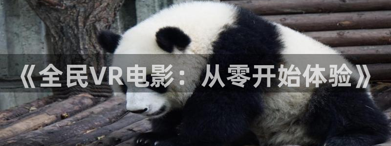 在線電影玖玖玖
