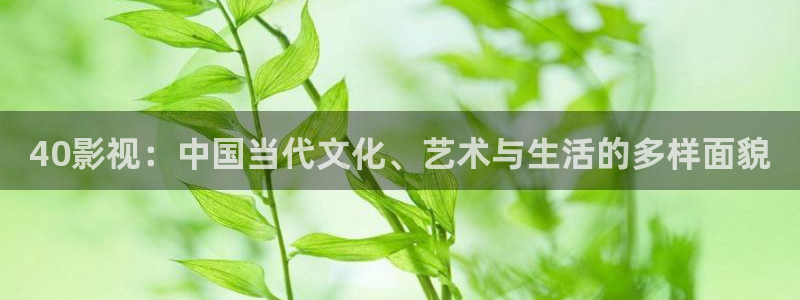 玖玖熱久久精品視頻在線觀看
